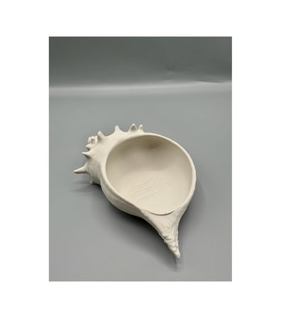 deniz kabuğu kase 2 modern dekoratif kase 3d baskı minimalist deniz temalı obje