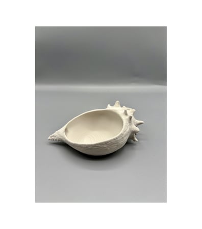 deniz kabuğu kase 2 modern dekoratif kase 3d baskı minimalist deniz temalı obje