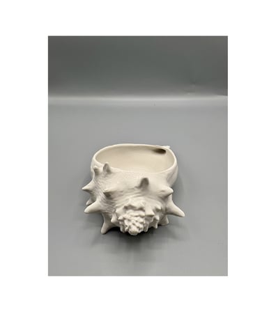 deniz kabuğu kase 2 modern dekoratif kase 3d baskı minimalist deniz temalı obje