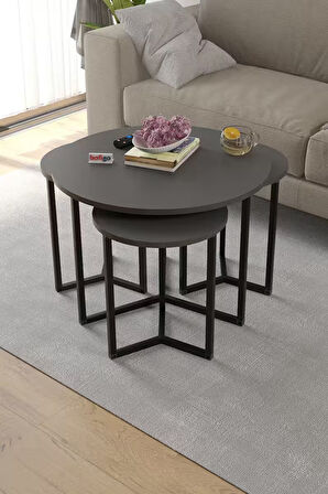 Bofigo 4lü Orta Sehpa Yan Sehpa Dekoratif Sehpa Metal Sehpa Yonca Antrasit