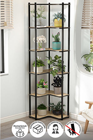 6 Raflı Çiçeklik Rafı Saksılık Standı Dekoratif Aksesuar Rafı Saksılık Sardes Safir Meşe