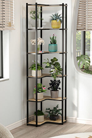 6 Raflı Çiçeklik Rafı Saksılık Standı Dekoratif Aksesuar Rafı Saksılık Sardes Safir Meşe