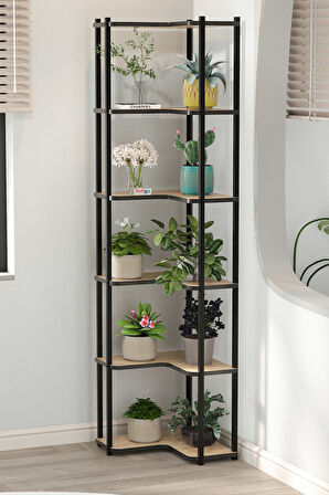 6 Raflı Çiçeklik Rafı Saksılık Standı Dekoratif Aksesuar Rafı Saksılık Sardes Safir Meşe