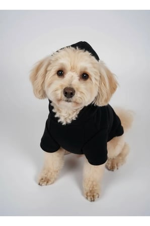 moffi Kapüşonlu Kedi Köpek Kıyafeti Sweatshirt Hoodie Evcil Hayvan Giysisi