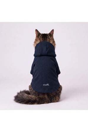 moffi Kapüşonlu Kedi Köpek Kıyafeti Sweatshirt Hoodie Evcil Hayvan Giysisi