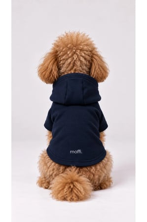 moffi Kapüşonlu Kedi Köpek Kıyafeti Sweatshirt Hoodie Evcil Hayvan Giysisi