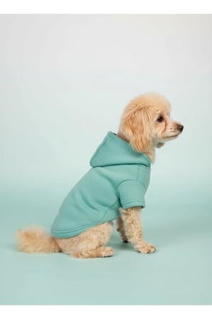 moffi Kapüşonlu Kedi Köpek Kıyafeti Sweatshirt Hoodie Evcil Hayvan Giysisi
