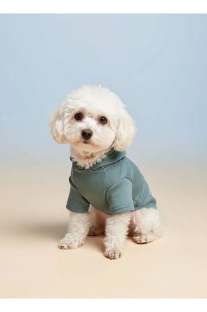 moffi Kapüşonlu Kedi Köpek Kıyafeti Sweatshirt Hoodie Evcil Hayvan Giysisi