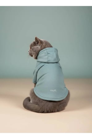 moffi Kapüşonlu Kedi Köpek Kıyafeti Sweatshirt Hoodie Evcil Hayvan Giysisi