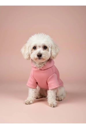 moffi Kapüşonlu Kedi Köpek Kıyafeti Sweatshirt Hoodie Evcil Hayvan Giysisi