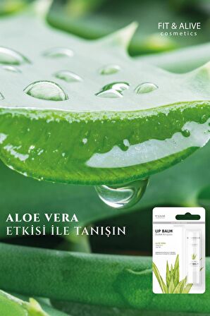 Fitalive Aloe Vera Lip Balm