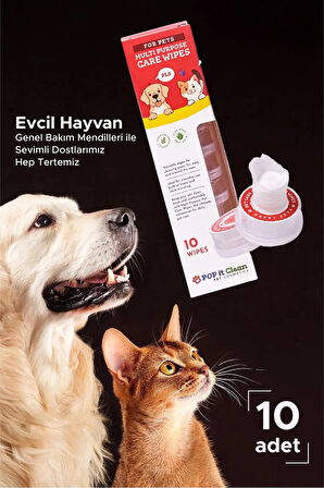 Evcil Hayvan Kedi & Köpek Çok Amaçlı Bakım ve Temizleme Mendili