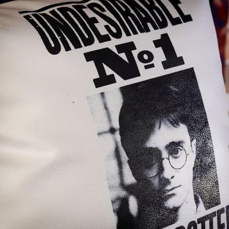 Harry Potter Wanted Yastık