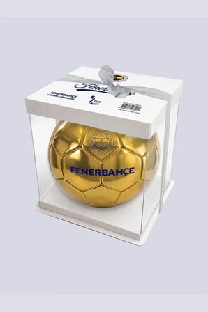 FENERBAHÇE FUTBOL TOPU GOLD NO5