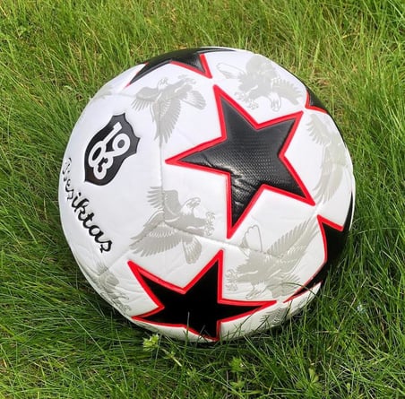 Beşiktaş Lisanslı Futbol Topu