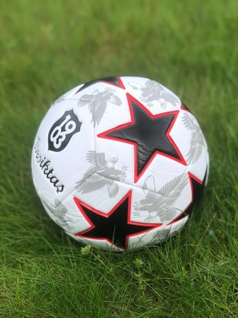 Beşiktaş Lisanslı Futbol Topu
