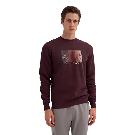 Erkek Baskılı Sweatshirt