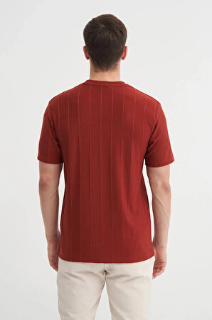 Cazador Regular Fit Bisiklet Yaka İnce Çizgili tişört