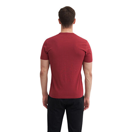 Erkek Slim Fit Bisiklet Yaka Pamuklu Düz Tişört 4623