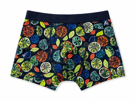 Cazador Erkek Boxer Desenli Pamuklu ve Likralı 93030