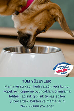 Koku Giderici Kedi Alerjisi Köpek Yatağı Çiş Kusma Dezenfaktan Etkiili Yüzey Temizleyici 3x750ml