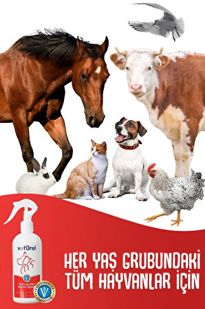 Kedi Köpek Yara Deri Günlük Bakımı Yanık Kızarıklık Tahriş Hot Spot Hipokloröz Yara Spreyi 2x300ml