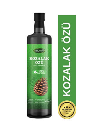 NATUREVA Kozalak Özü Şeker ilavesiz 670 gr
