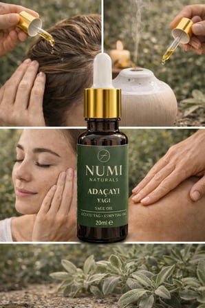 Numi Naturals   Adaçayı Yağı 20 Ml – Uçucu Yağ | Aromaterapi, Difüzör Ve Buhurdanlık İ̇Çin