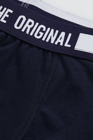 Regular Fit Boxer
