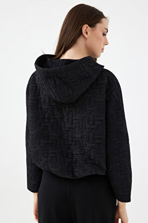 Loft Kadın Sweatshirt