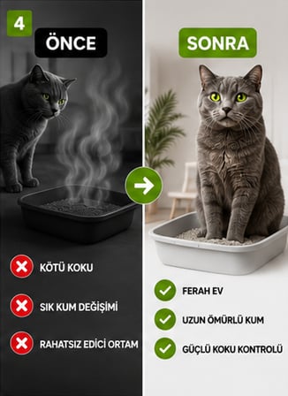 Midilla Active Carbon Kedi Kumu Koku Giderici 2 x 250 g | %100 Gerçek Aktif Karbon | Toplam 500 g