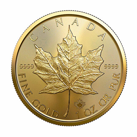 AgaKulche 1 Ons Maple Leaf Altın Sikke Coin