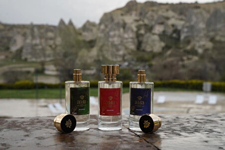  DI1 Meyveli Edp Kadın Parfüm 110 ml