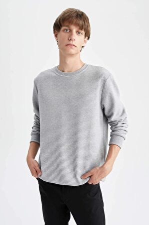 DeFacto Regular Fit Sweatshirt S8194AZ22WNGR210