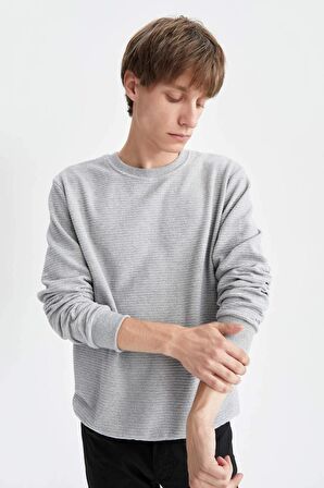 DeFacto Regular Fit Sweatshirt S8194AZ22WNGR210