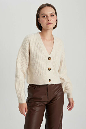 DeFacto Regular Fit V Yaka Triko Hırka R1389AZ23WNBG371