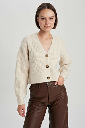 DeFacto Regular Fit V Yaka Triko Hırka R1389AZ23WNBG371
