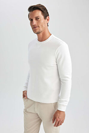 DeFacto Regular Fit Bisiklet Yaka Kalın Basic Düz Sweatshirt T3777AZ23AUWT34