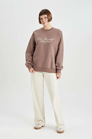 DeFacto Relax Fit Bisiklet Yaka Kalın Sweatshirt B4059AX23AUBN558