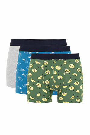 DeFacto Regular Fit 3'lü Boxer Y3179AZ23AUGN759