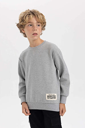 DeFacto Erkek Çocuk Bisiklet Yaka Dokuma Etiketli Basic Sweatshirt B3897A823WNGR210