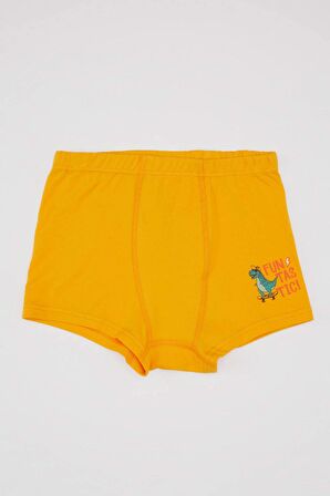 Erkek Çocuk 3'lü Boxer