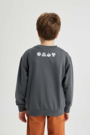 DeFacto Erkek Çocuk Avatar the Last Airbender Kapüşonlu Sweatshirt B2216A823WNAR58