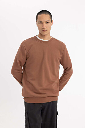 Regular Fit Bisiklet Yaka Sweatshirt