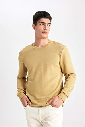 Regular Fit Bisiklet Yaka Sweatshirt