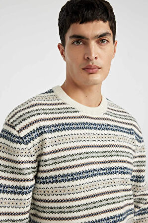 DeFacto Standart Fit Bisiklet Yaka Kazak B9716AX24AUBG655