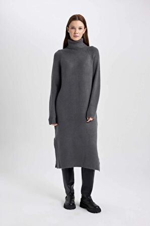 DeFacto Regular Fit Balıkçı Yaka Uzun Kollu Elbise C1932AX23WNGR76