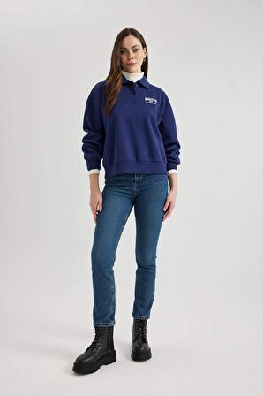 DeFacto Regular Fit Polo Yaka Nakışlı Kalın Kumaş Sweatshirt C2323AX23WNNV242
