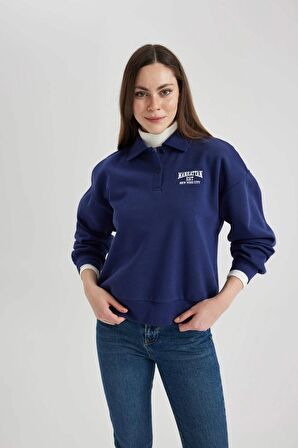 DeFacto Regular Fit Polo Yaka Nakışlı Kalın Kumaş Sweatshirt C2323AX23WNNV242