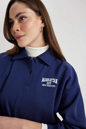 DeFacto Regular Fit Polo Yaka Nakışlı Kalın Kumaş Sweatshirt C2323AX23WNNV242